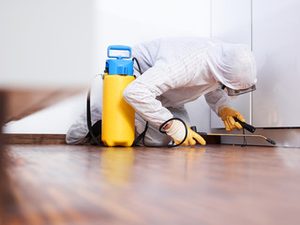 pest control